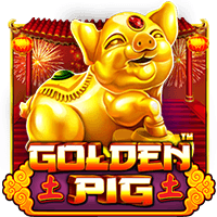 Golden Pig